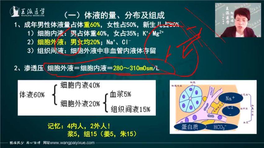 【王派】2023临床外科主治医师系统精讲网络班 网盘下载(29.38G)