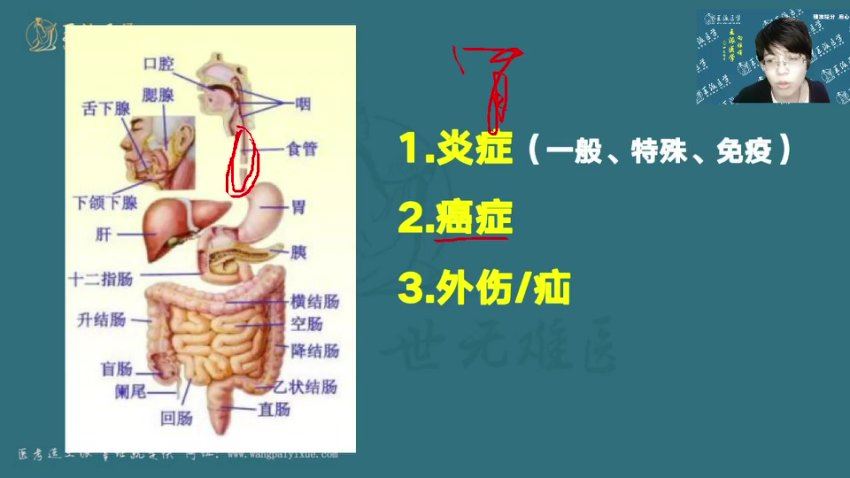 【王派】2023年临床执业助理医师直播陪学高端班 网盘下载(71.13G)