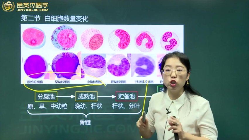 金英杰：2023年临床医学检验技士定制精品班 网盘下载(21.01G)